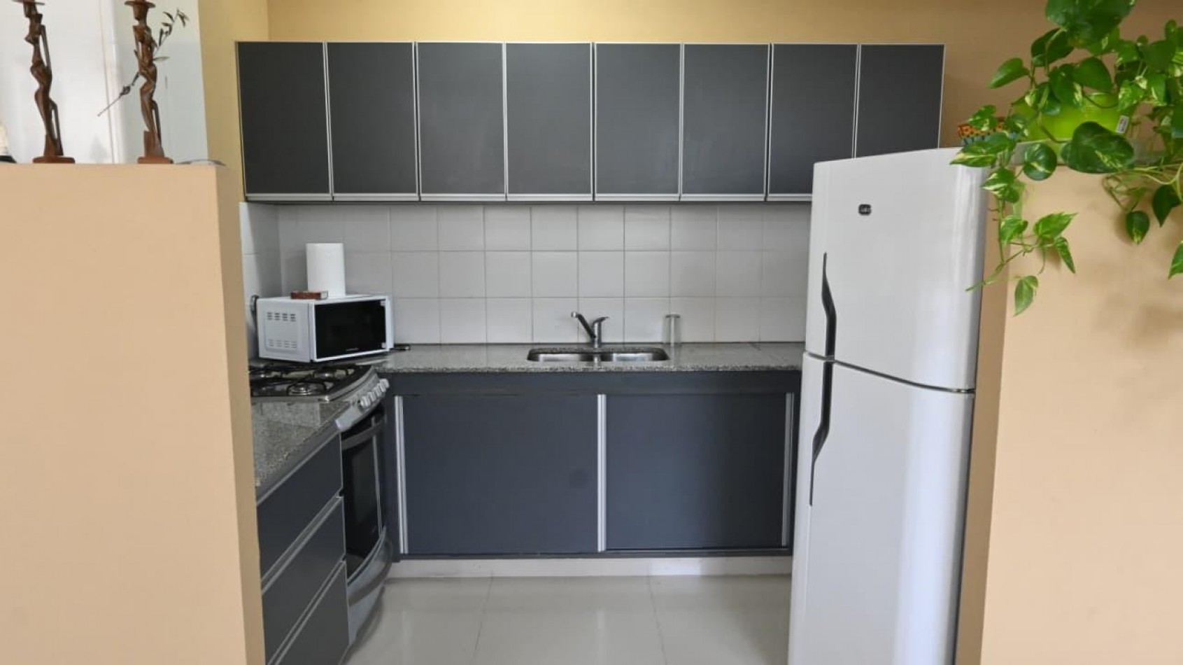 Departamento en Edificio Huarpes II