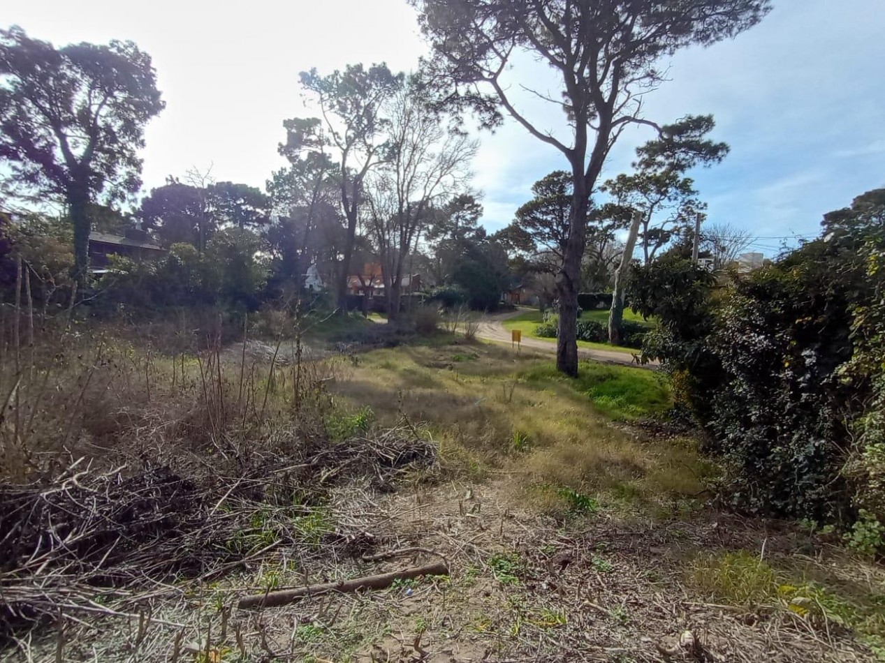 LOTE EN ZONA CONSOLIDADA